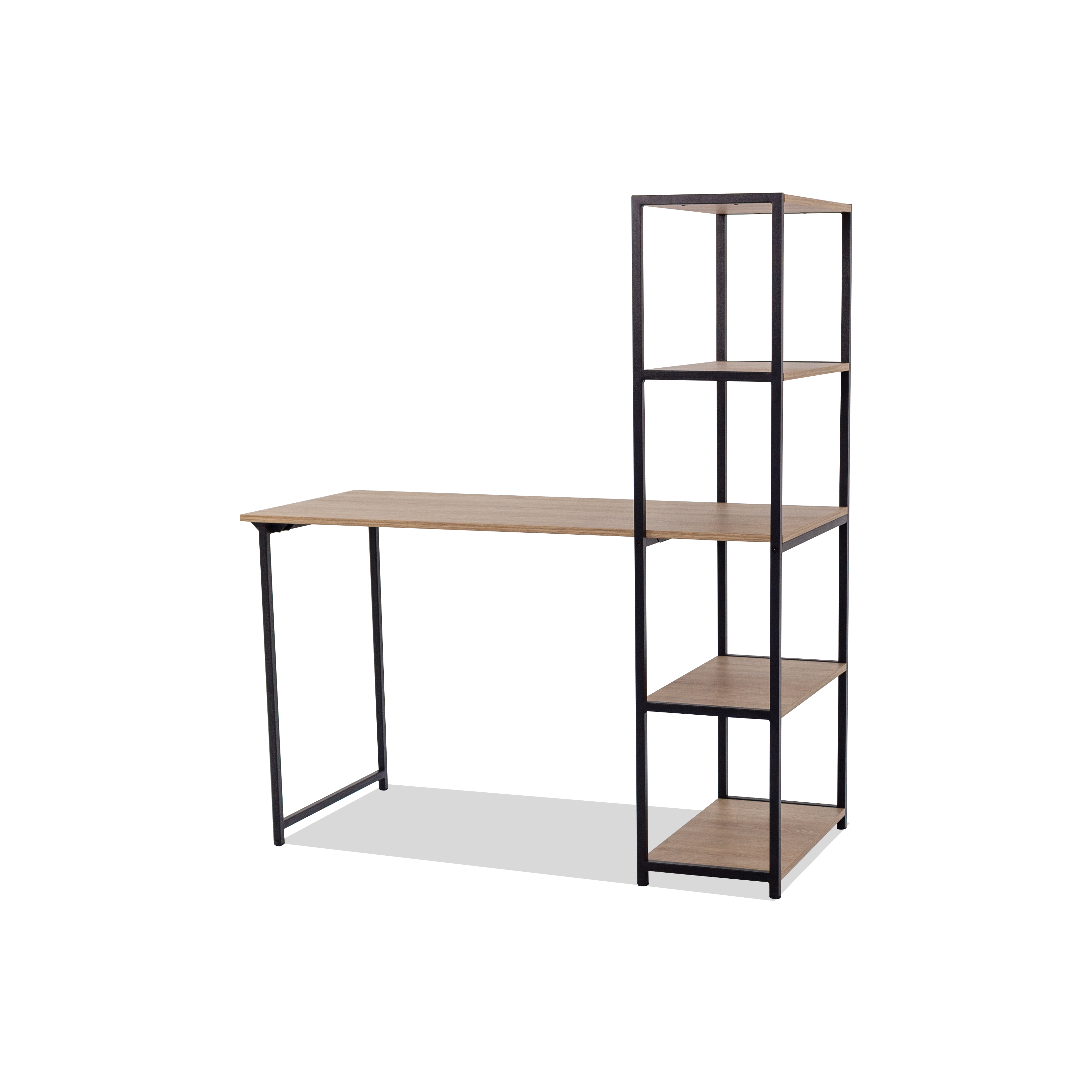 Escritorio con biblioteca