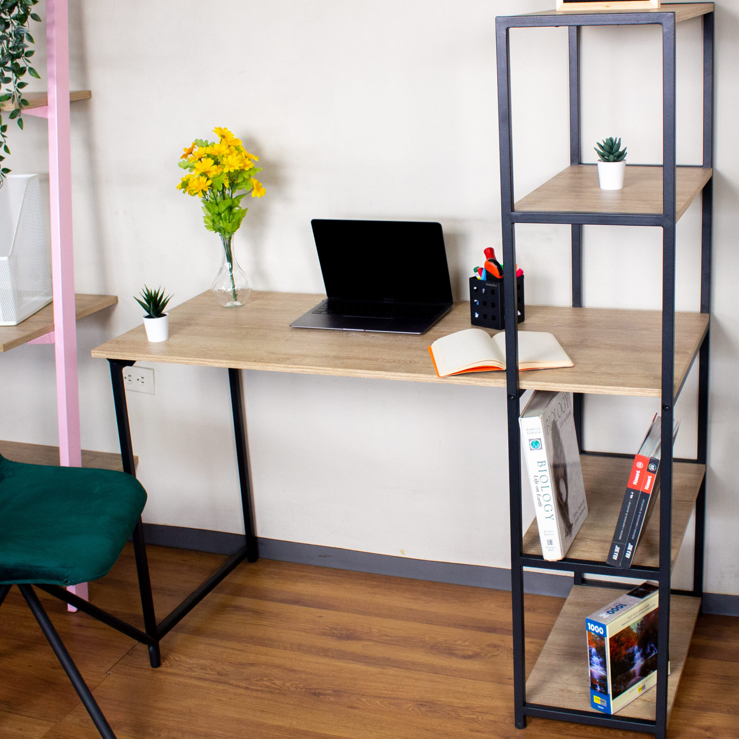 Escritorio con biblioteca